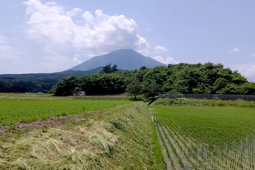 農地転用に悩まず解決!富山市で遊休地を土地買取し固定資産税負担をカットした事例